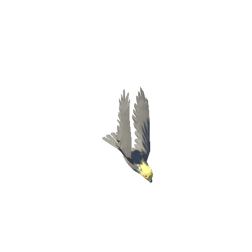 Low Poly Cockatiel 01